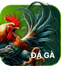 đá gà uu88